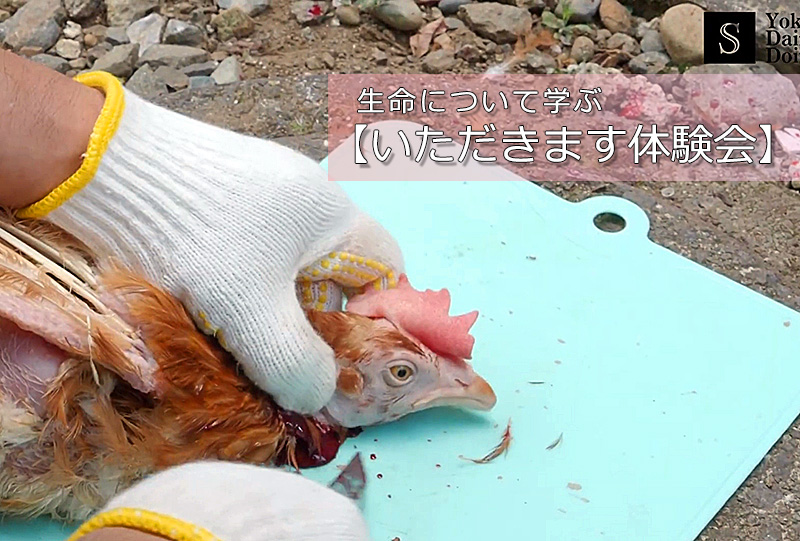 スライドショー